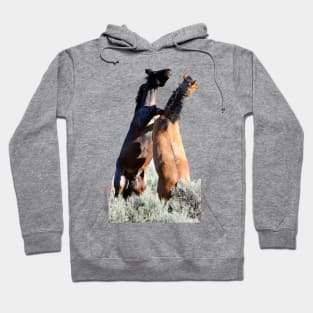 Fighting Wild Stallions Hoodie